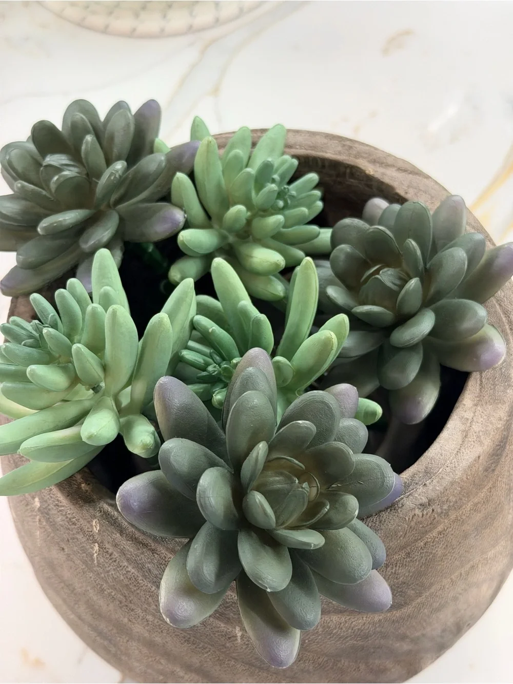 Artificial Succulent Arrangement in Green -